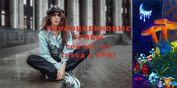 спиды Саяногорск