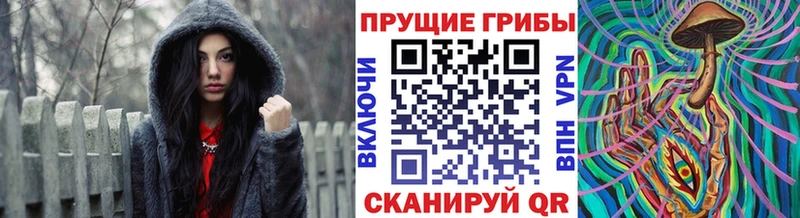 Галлюциногенные грибы Cubensis  Северодвинск 