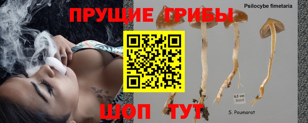 где купить   Северодвинск  Галлюциногенные грибы прущие грибы 