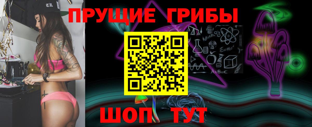 Псилоцибиновые грибы Cubensis Северодвинск